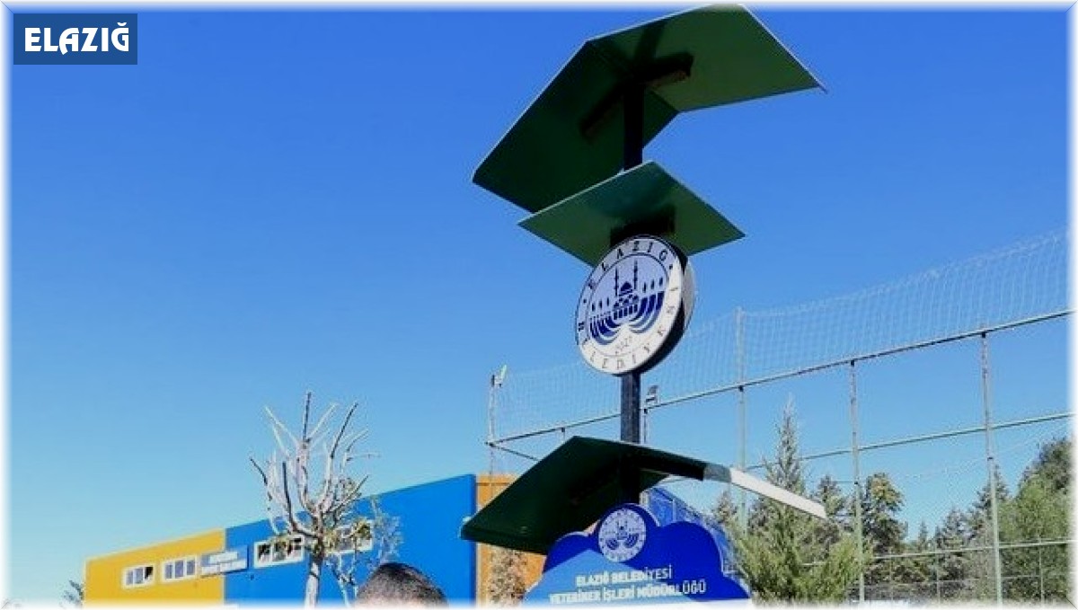 Elazığ Belediyesi sokak hayvanlarını unutmadı