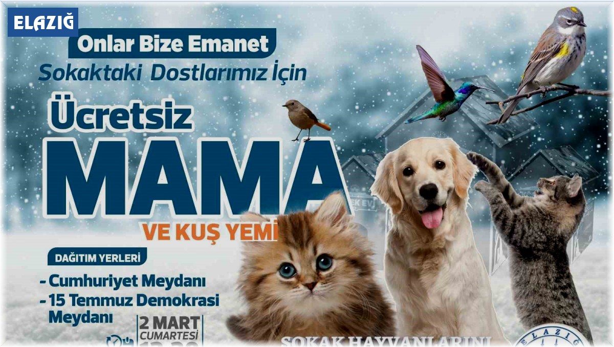 Elazığ Belediyesi ücretsiz mama ve kuş yemi dağıtacak