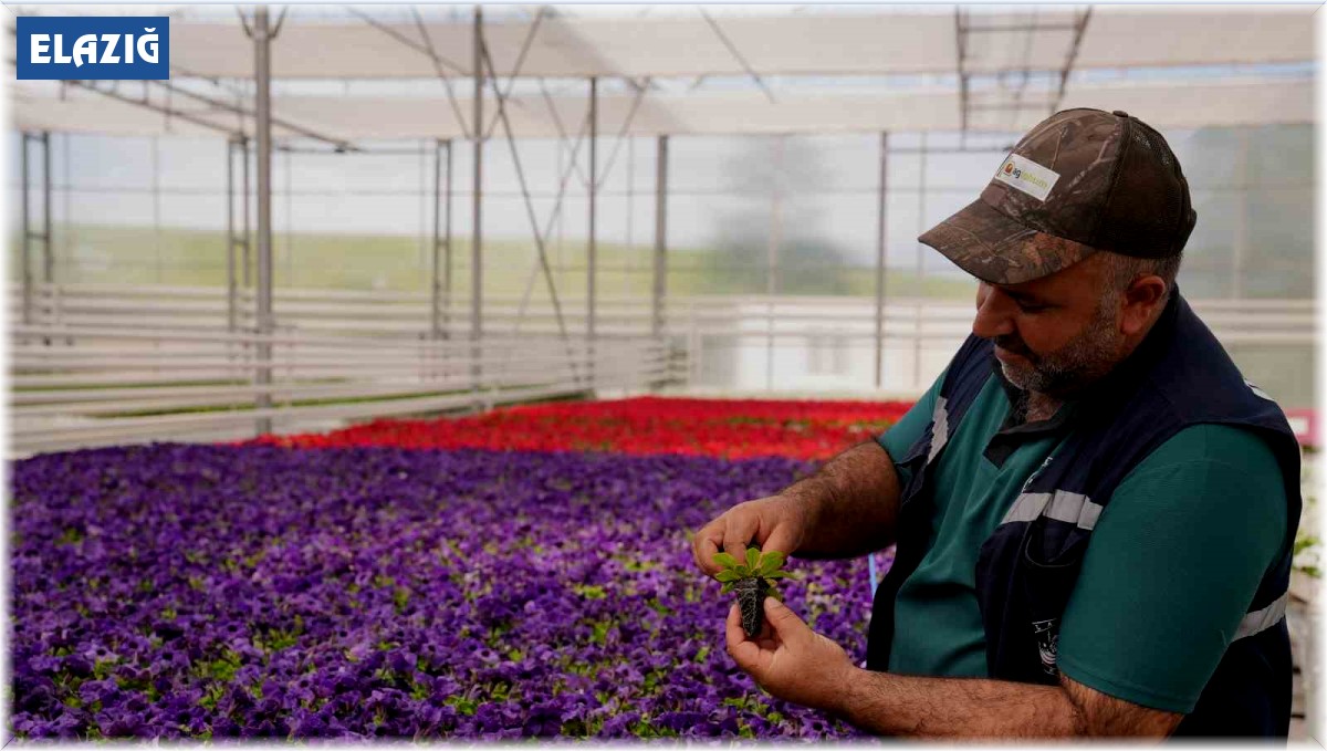 Elazığ Belediyesi üretiyor, dikiyor, kent estetiğine değer kazandırıyor