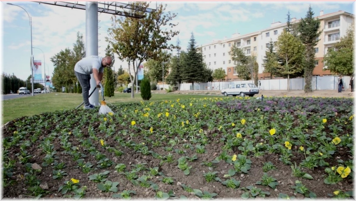 Elazığ Belediyesinden mevsimlik çiçek dikimi