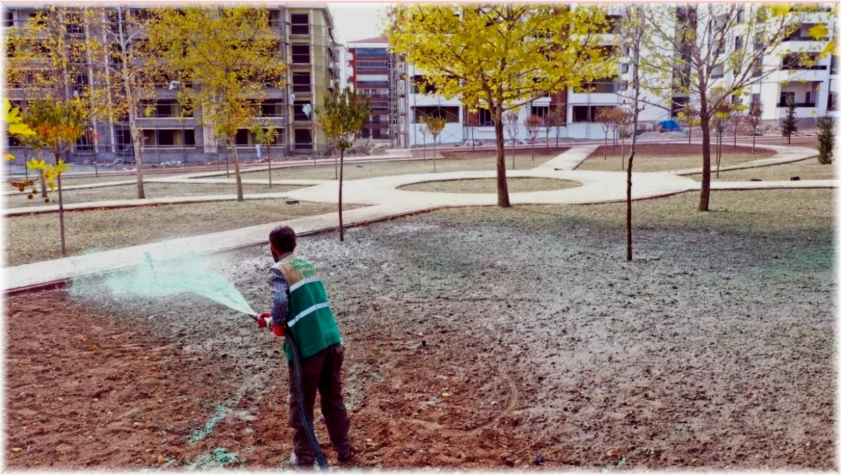 Elazığ Belediyesinden soğuğa dayanıklı yeşillendirme çalışmaları