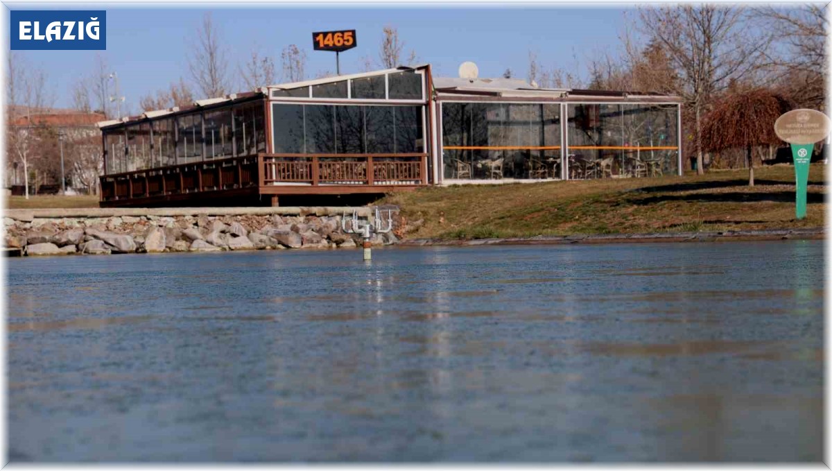 Elazığ buz kesti, süs havuzları dondu