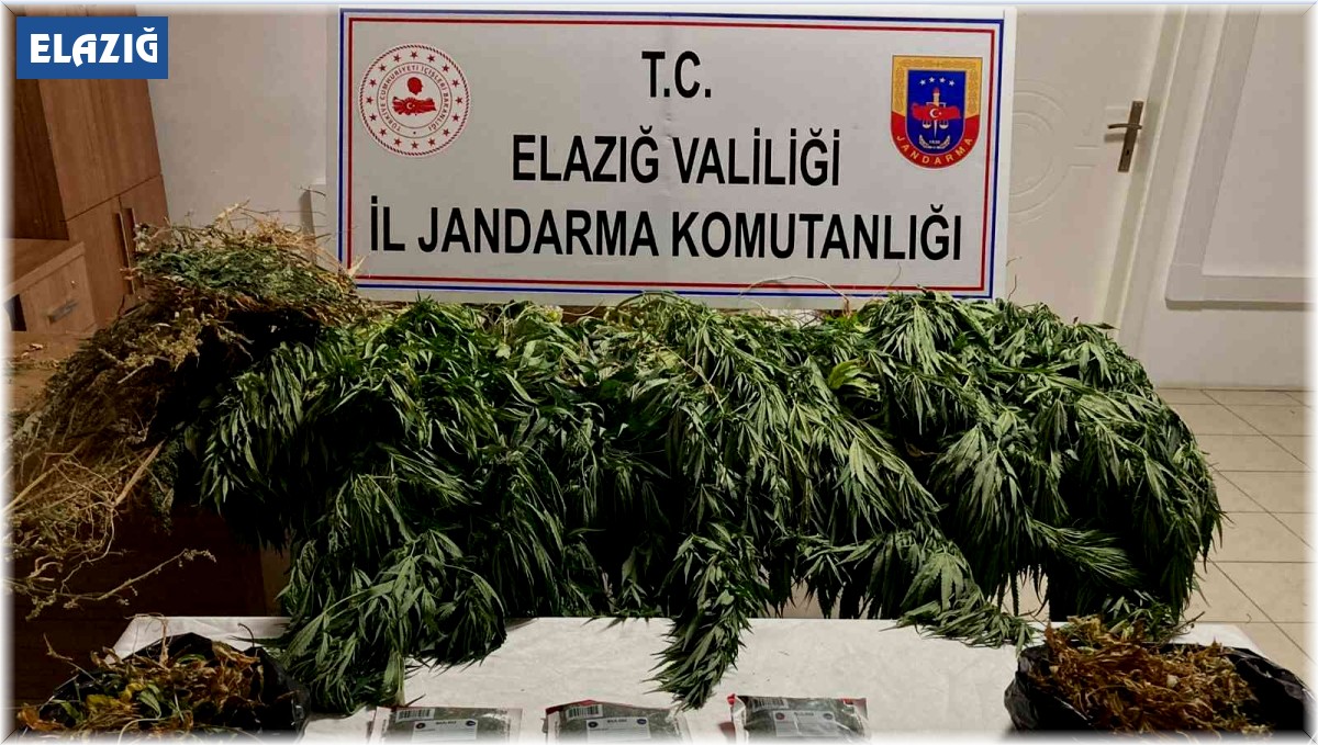 Elazığ'da 1 kilo esrar ve 17 kök kenevir ele geçirildi