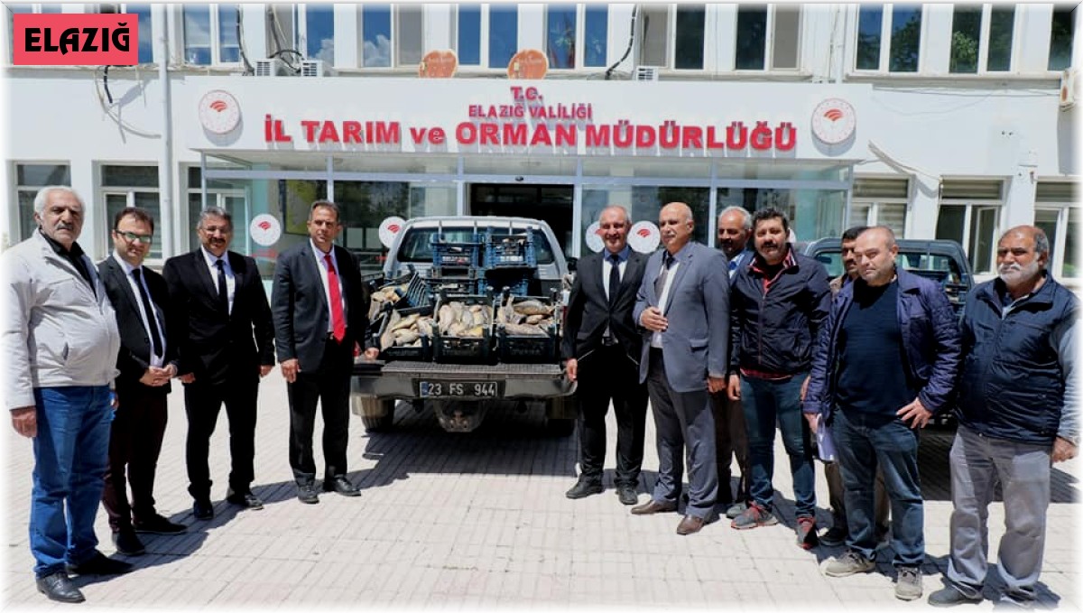 Elazığ'da 1 ton 150 kilogram kaçak avlanan balık yakalandı