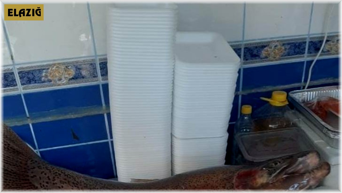 Elazığ'da 10 kiloluk alabalık yakalandı