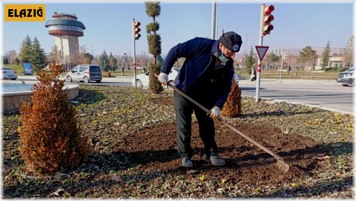 Elazığ'da 107 bin çiçek toprakla buluştu