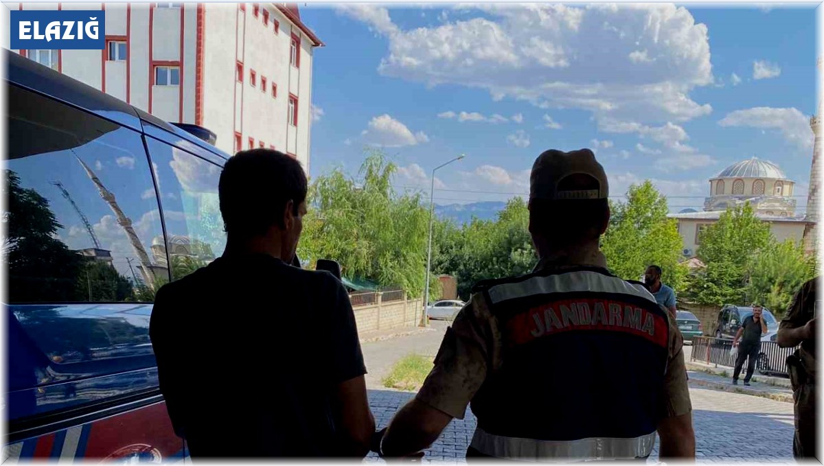 Elazığ'da 12 yıl 6 ay hapis cezası bulunan şahıs yakalandı