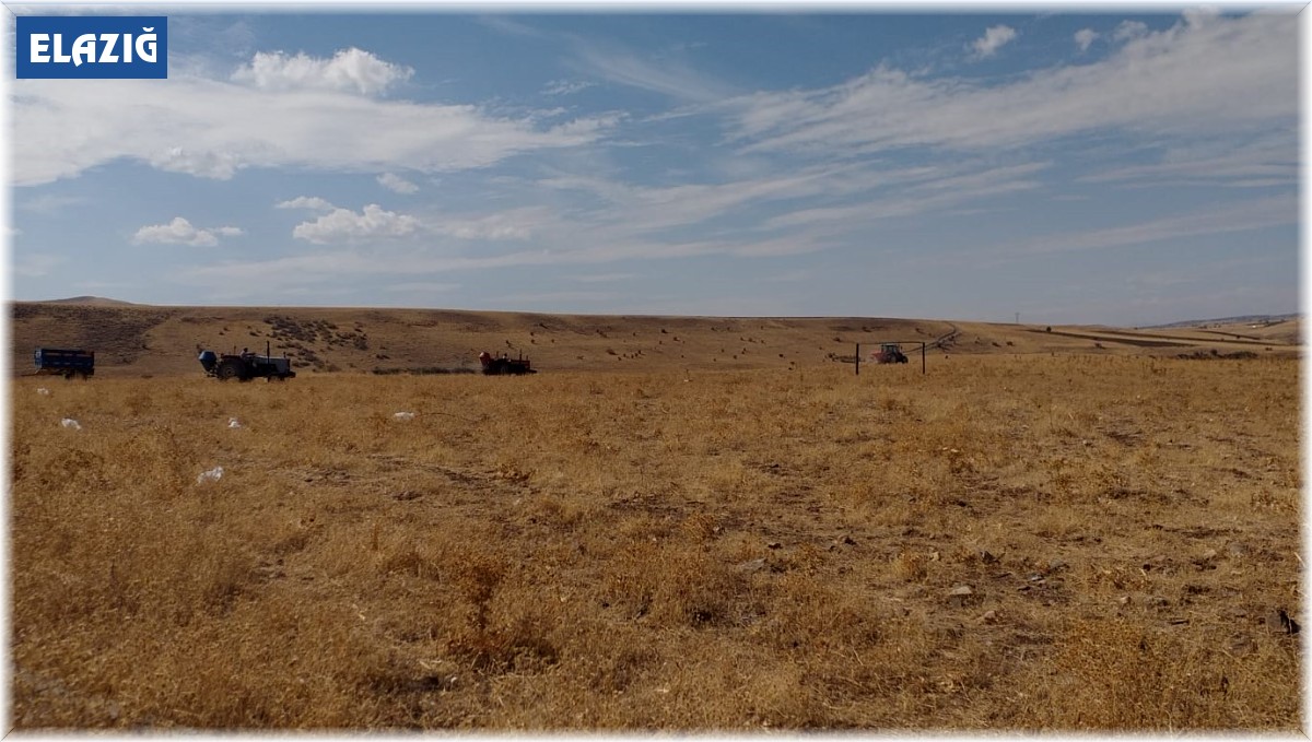 Elazığ'da 136 bin dekar alanda mera ıslah çalışmaları tamamlandı