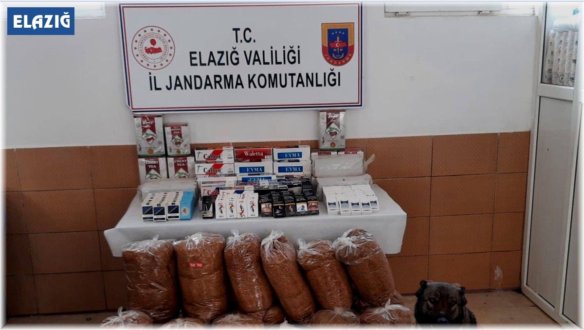 Elazığ'da 150 kilo kaçak tütün ele geçirildi