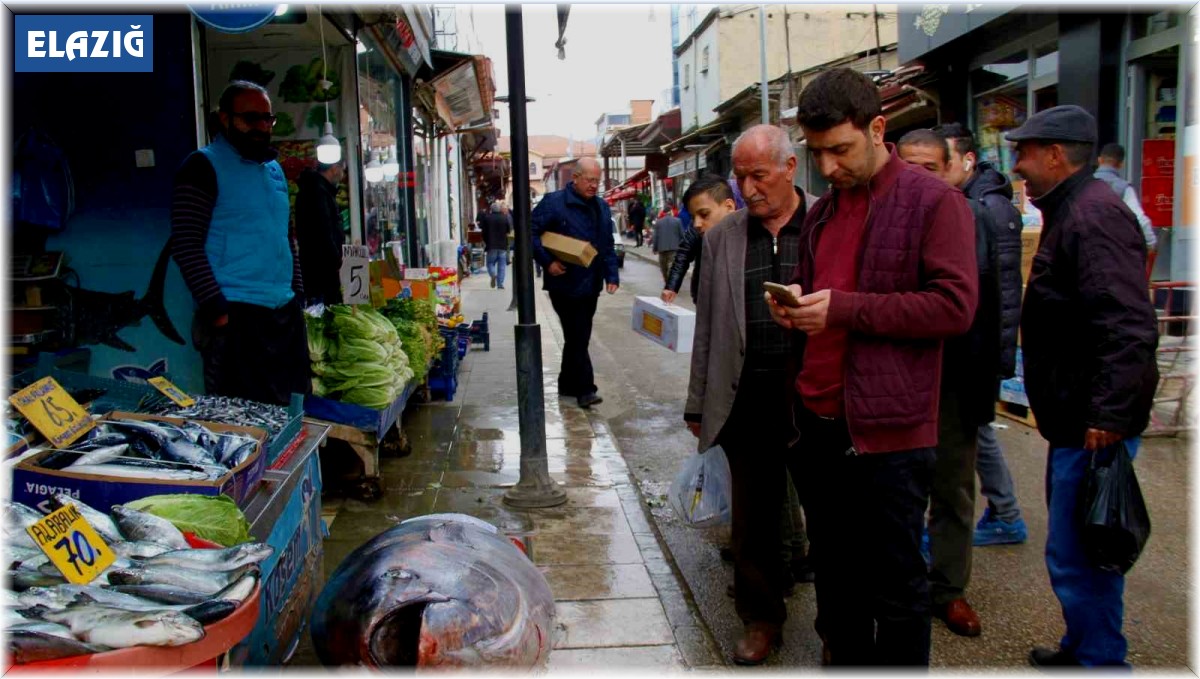 Elazığ'da 164 kiloluk dev orkinosu görenler cep telefonlarına sarıldı