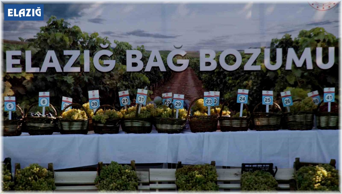 Elazığ'da 17'nci Bağ Bozumu Festivali gerçekleştirildi