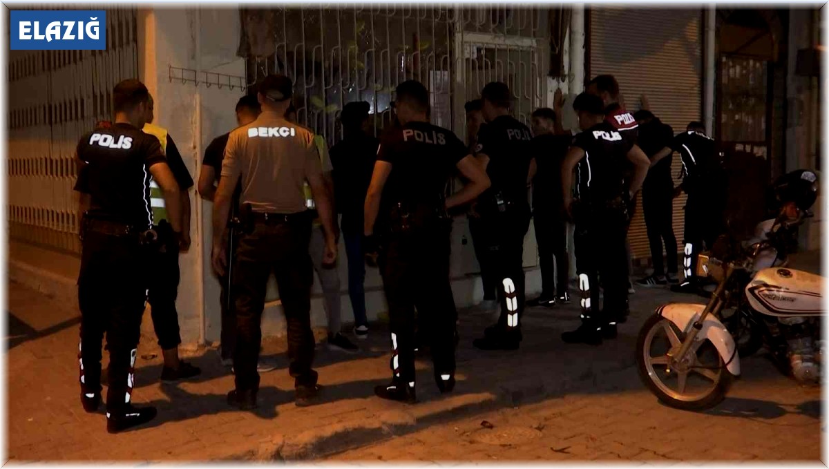 Elazığ'da 187 şahıs ve 95 araç sorgulandı