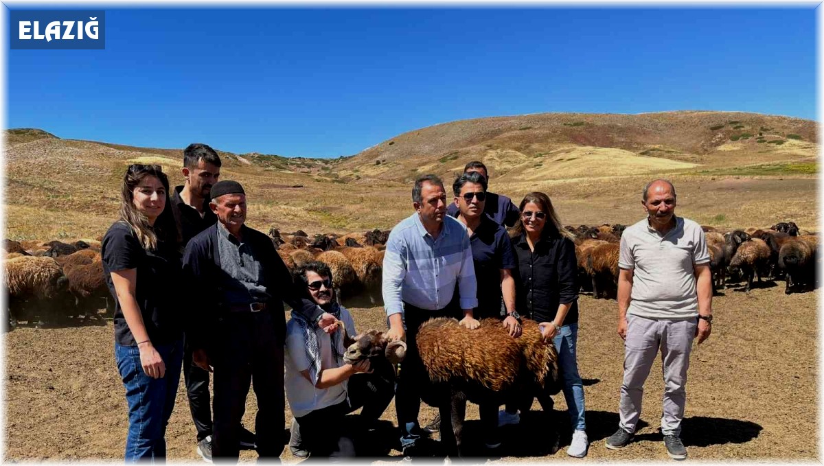 Elazığ'da 187 yetiştiriciye bugüne kadar 18 milyon 638 bin lira destek verildi