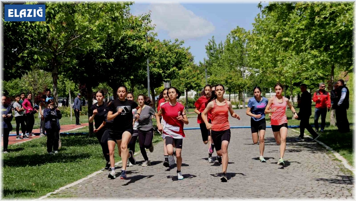 Elazığ'da 19 Mayıs turnuvaları düzenlendi