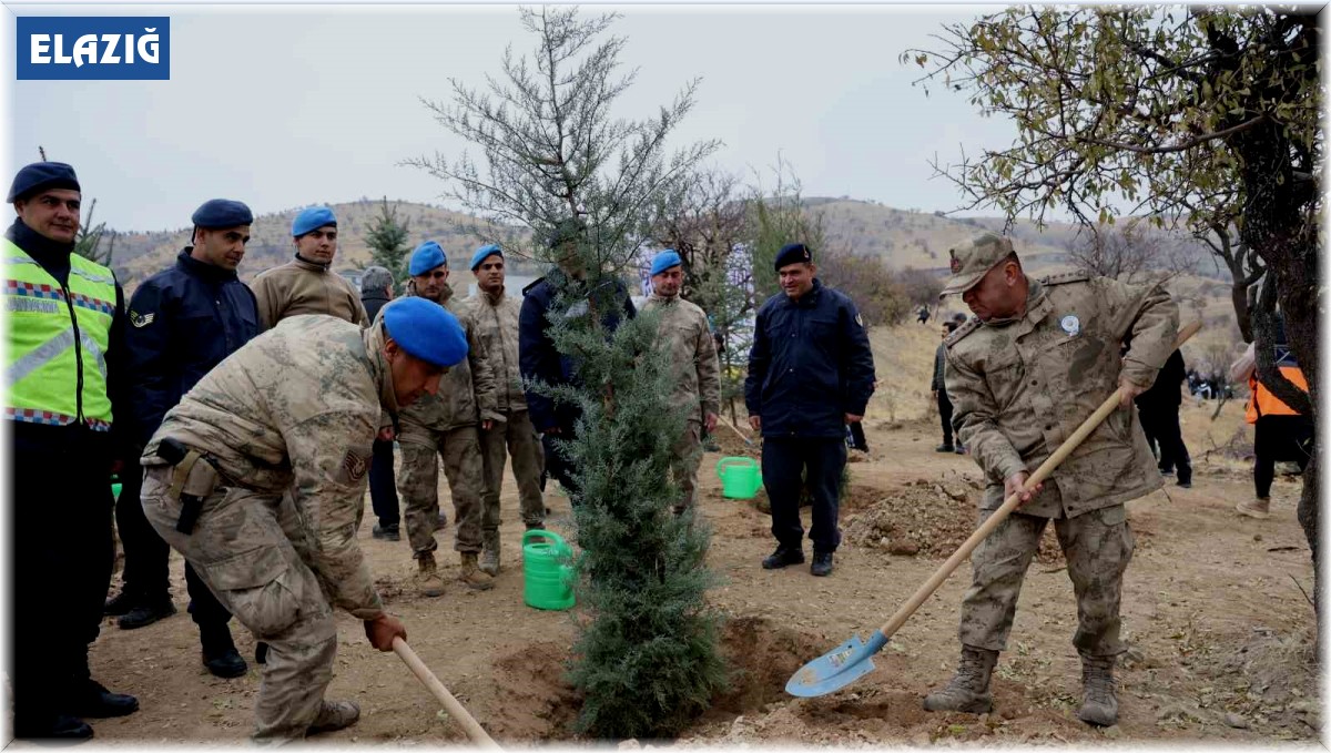Elazığ'da 2 bin 300 fidan toprakla buluştu