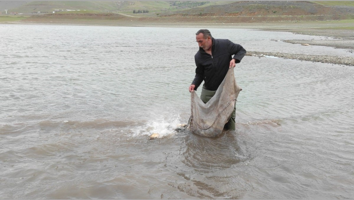 Elazığ'da 2 bin 500 metre ağ ve 500 kilo balık ele geçirildi