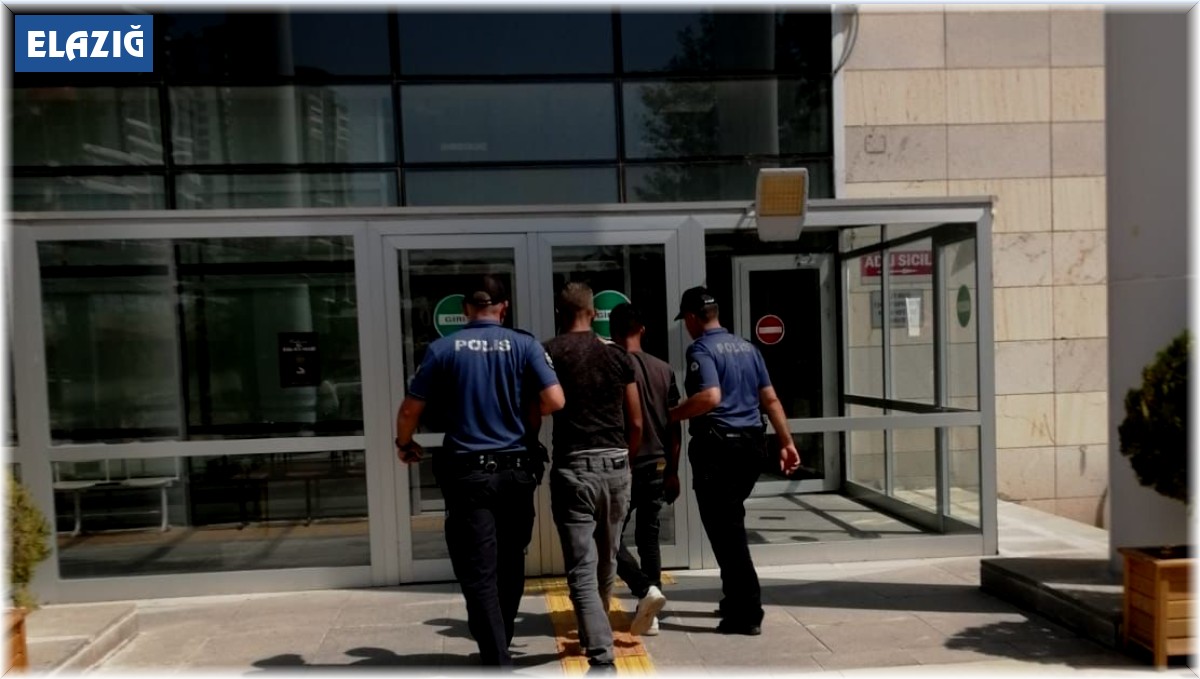 Elazığ'da 2 hırsızlık şüphelisi yakalandı