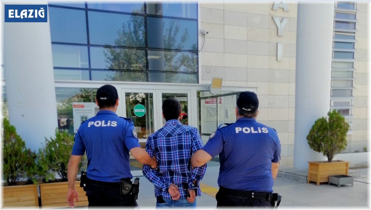Elazığ'da 2 ikametten hırsızlık yapan şüpheli yakalandı