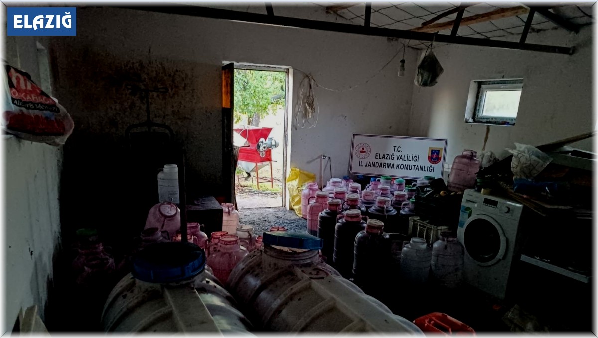 Elazığ'da 2 ton 600 litre kaçak şarap ele geçirildi