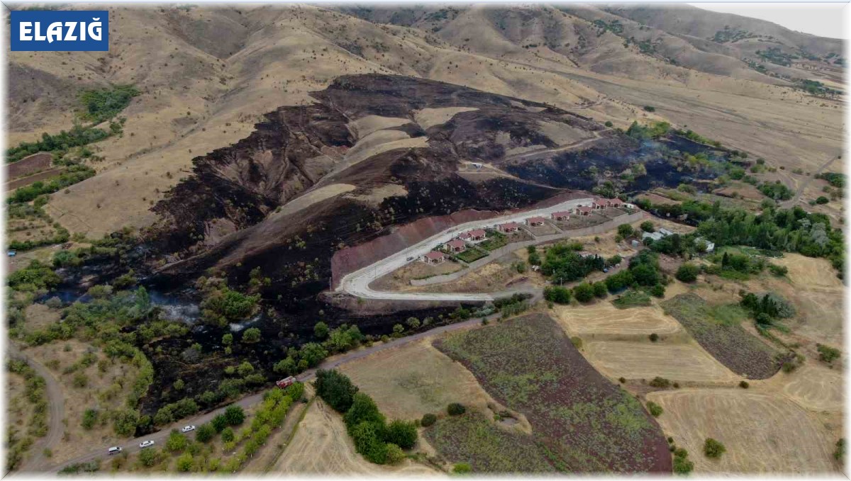 Elazığ'da 200 dönüm alan yangında kül oldu