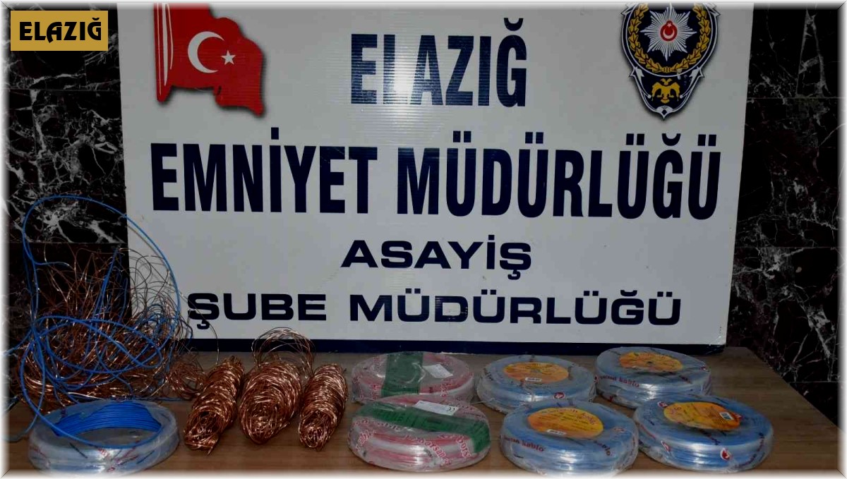 Elazığ'da 21 suç kaydı bulunan 2 şüpheli, çaldıkları kabloları yakarken yakalandı