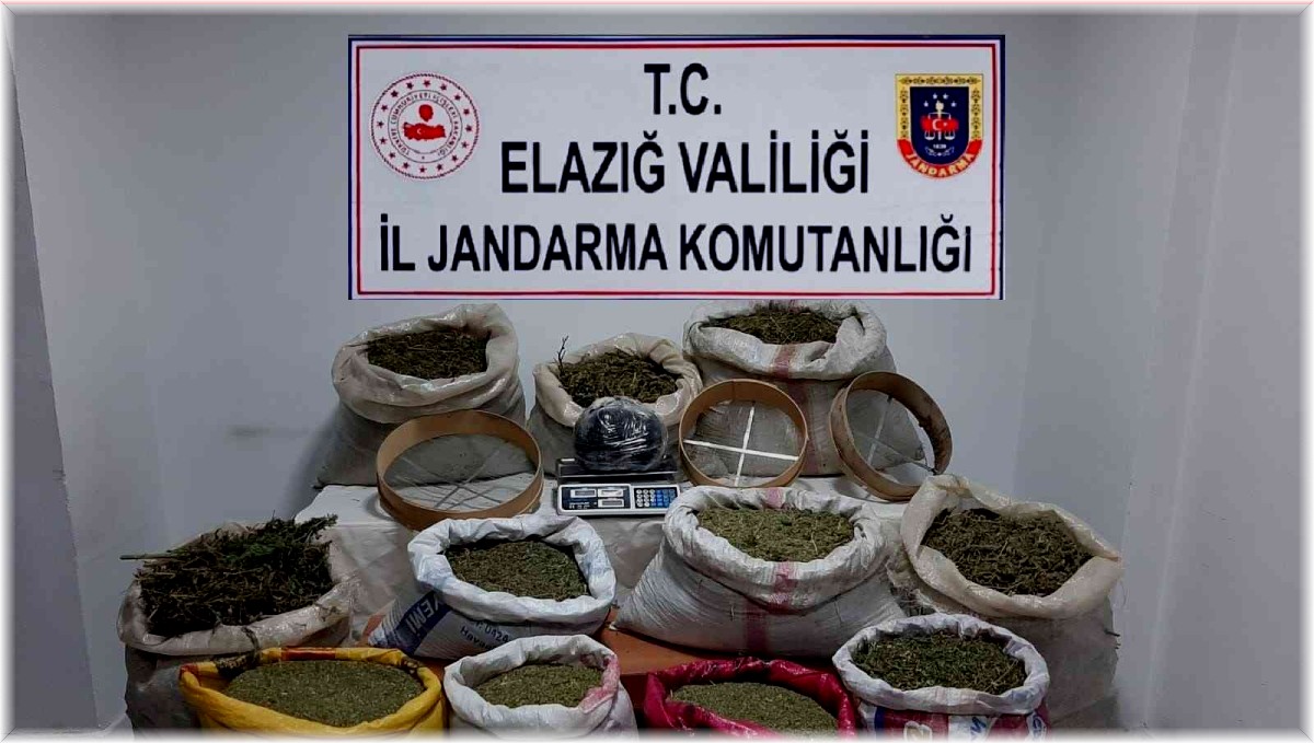 Elazığ'da 210 kilo esrar, 1 kilo skunk ele geçirildi