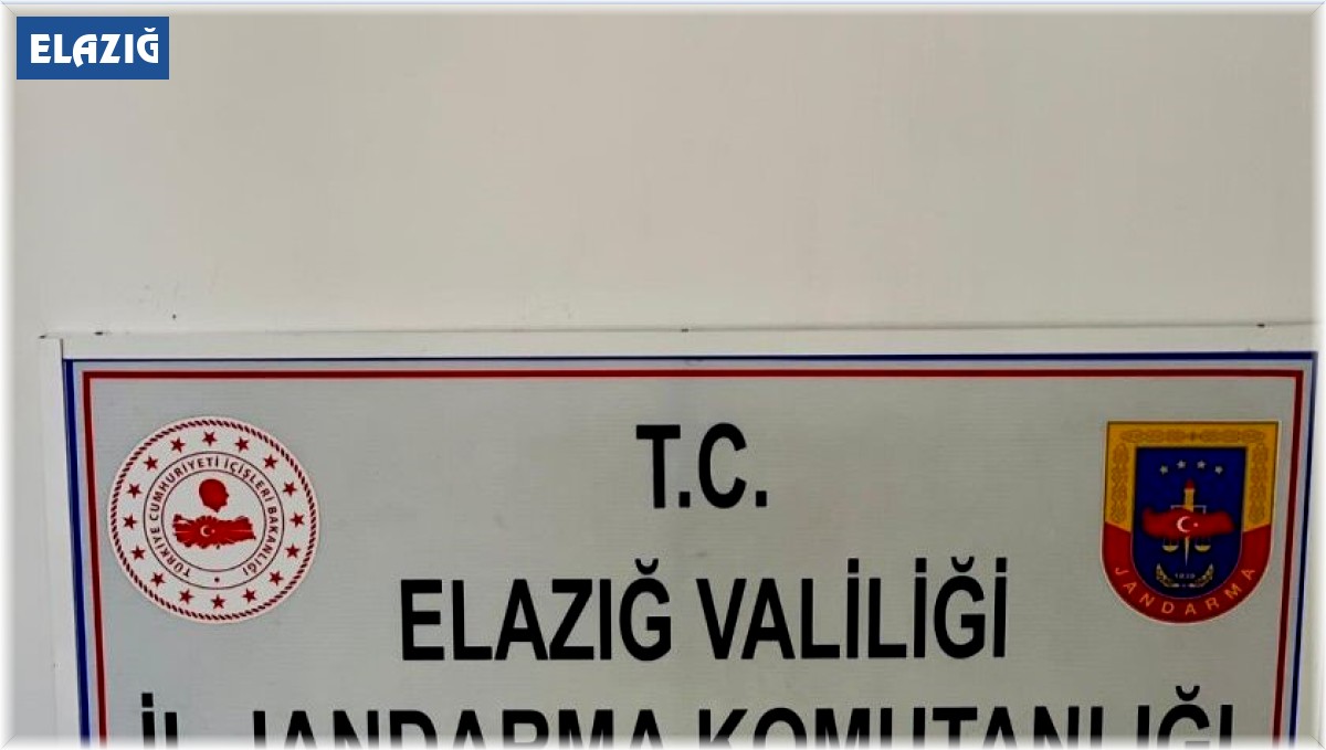 Elazığ'da 211 adet uyuşturucu hap ele geçirildi