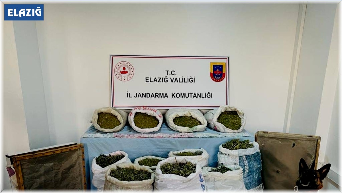 Elazığ'da 241 kilo esrar ele geçirildi: 2 tutuklama