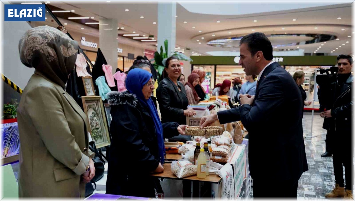 Elazığ'da 25 Kasım Kadına Yönelik Şiddetle Mücadele Günü etkinliği