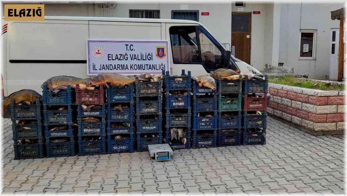 Elazığ'da 3 kaçak avcıya, 22 bin lira ceza kesildi