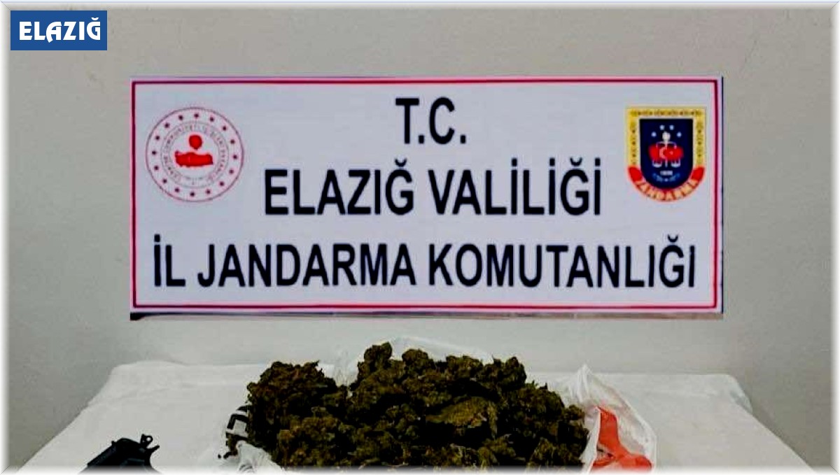 Elazığ'da 3 kilo skunk ve 2 adet silah ele geçirildi