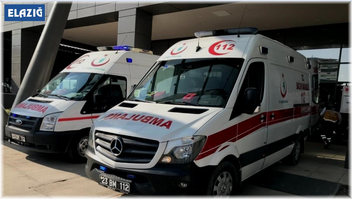 Elazığ'da 30 acemi kasap hastanelik oldu