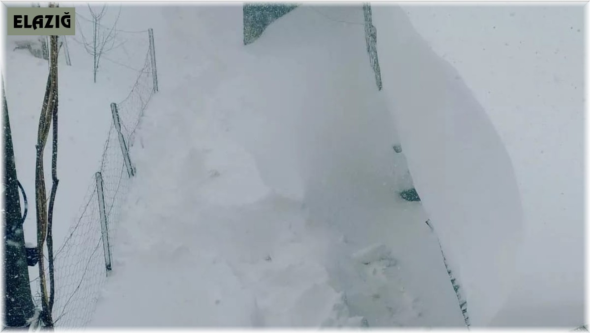 Elazığ'da 30 haneli köy, kar altında kaldı