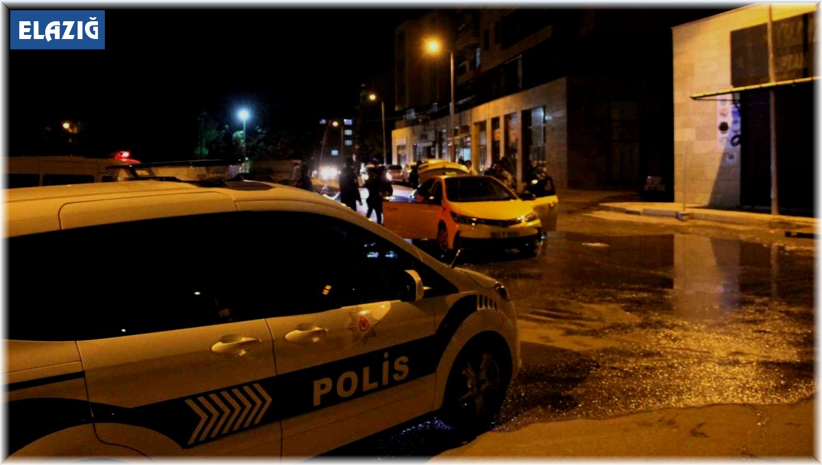 Elazığ'da 330 şahsın ve 70 aracın GBT kontrolü ve denetimi yapıldı