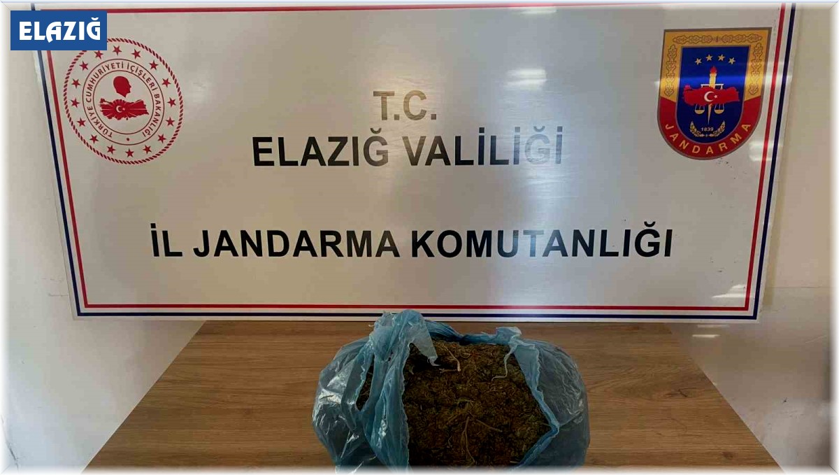 Elazığ'da 3,5 kilo uyuşturucu madde ele geçirildi, 2 kişi gözaltına alındı