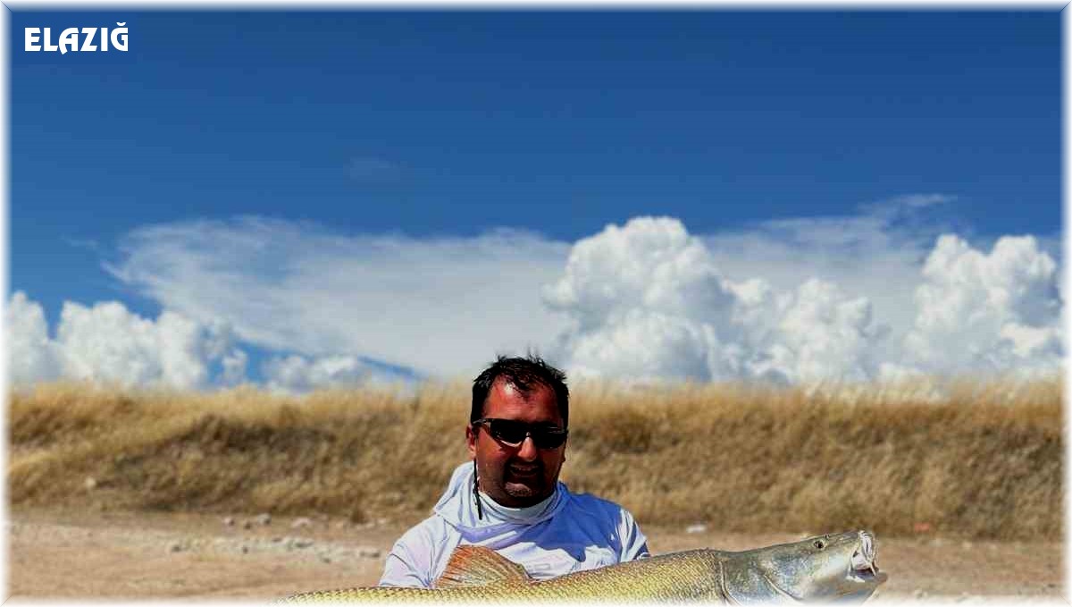 Elazığ'da 39 kiloluk dev Fırat turnası yakalandı
