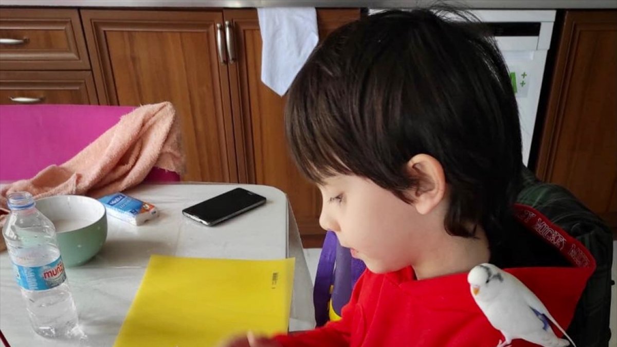 Elazığ'da 4 kişinin yaralandığı kazada kaybolan muhabbet kuşunu jandarma ekipleri buldu