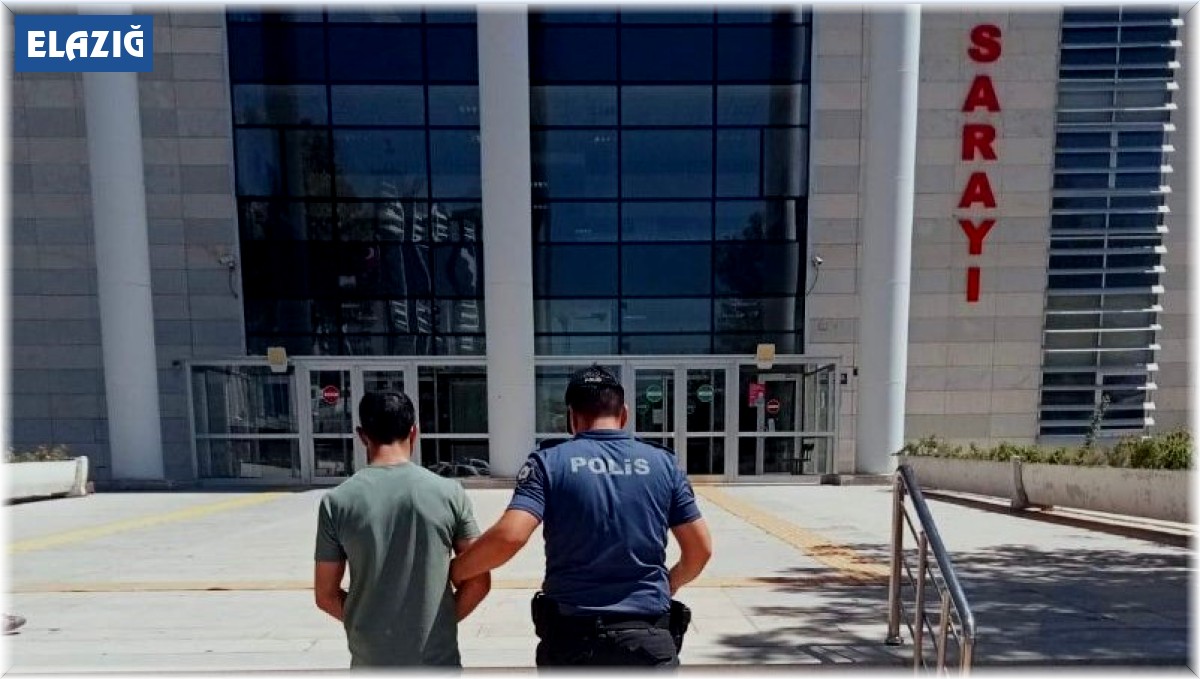 Elazığ'da 42 adet suç kaydı bulunan şüpheli tutuklandı