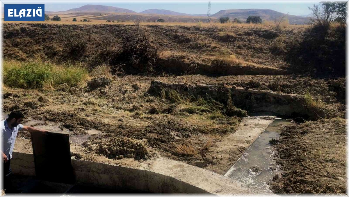 Elazığ'da 480 dönüm alan su ile buluştu
