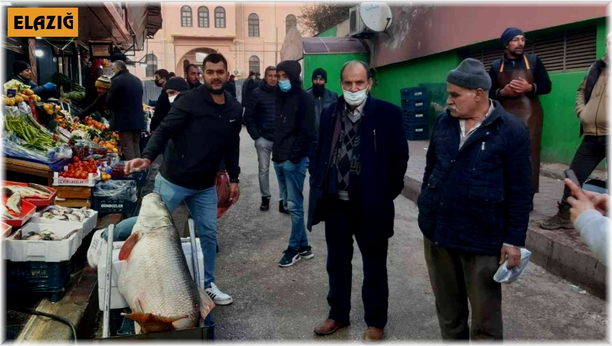 Elazığ'da 60 kiloluk dev turna balığı yakalandı