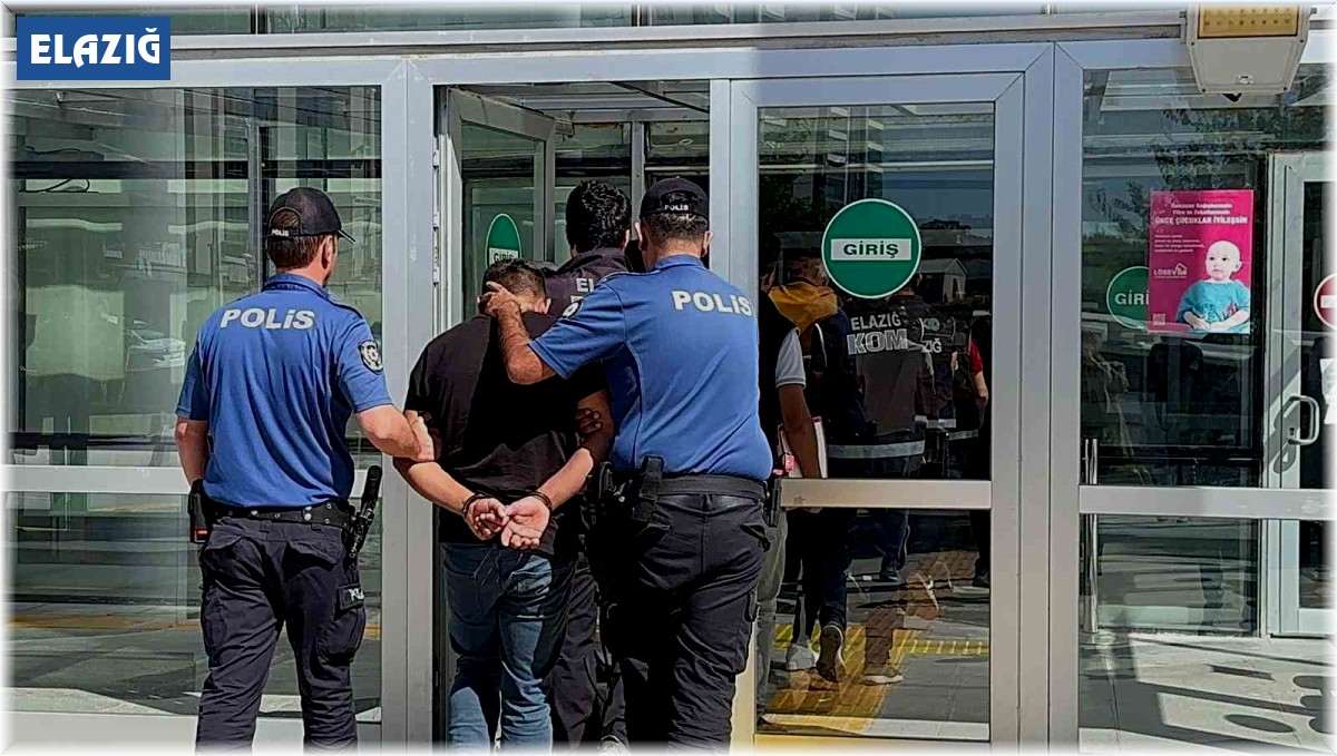 Elazığ'da 9 şüpheliden 2'si tutuklandı