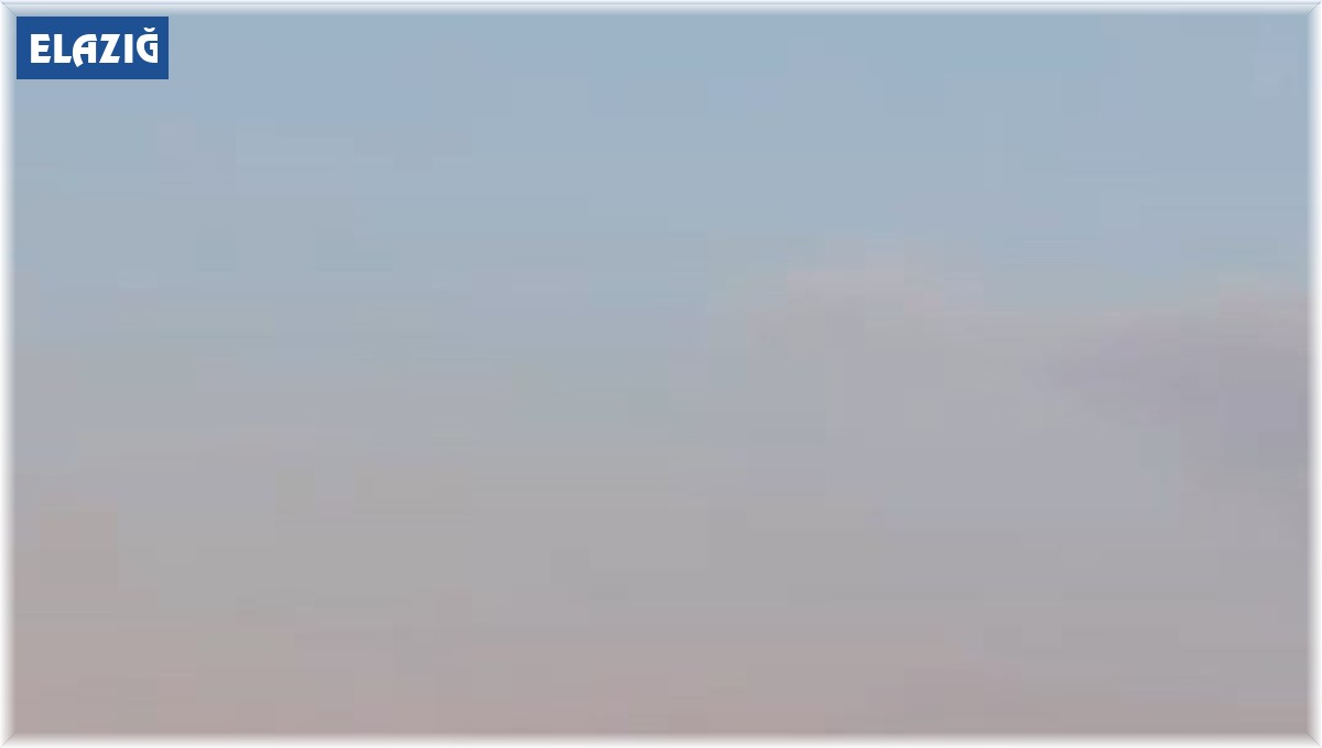 Elazığ'da aç kalan domuz köye indi