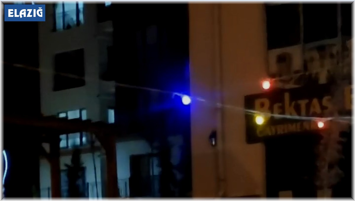 Elazığ'da aç kalan tilki şehir merkezine indi