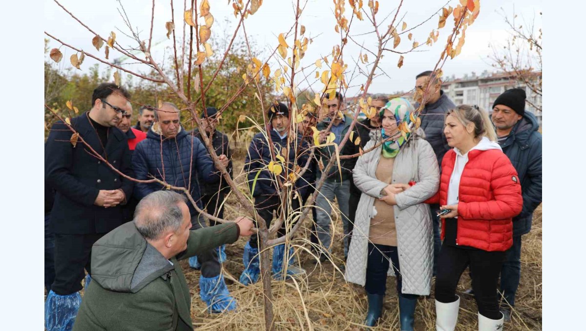 Elazığ'da ağaç budama ve aşılama eğitimi