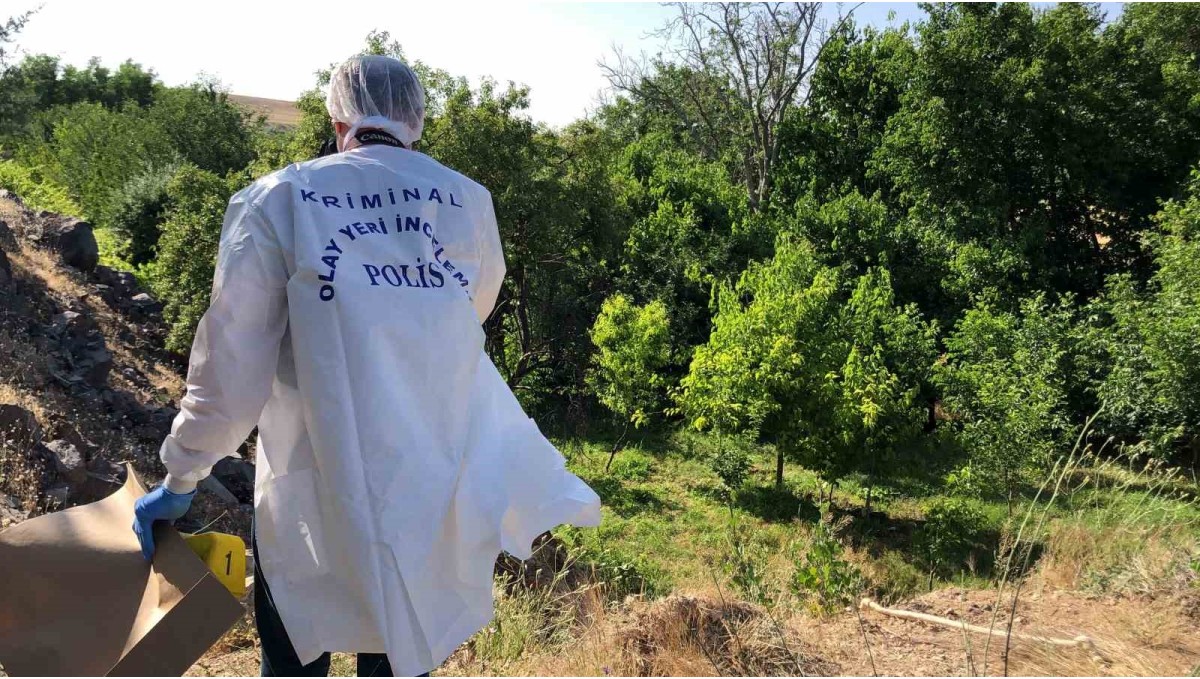 Elazığ'da ağaca asılı halde erkek cesedi bulundu