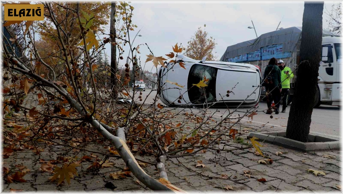 Elazığ'da ağaca çarpan otomobil yan yattı: 1 yaralı
