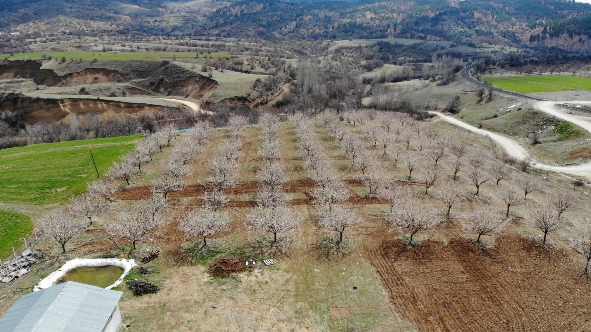 Elazığ'da ağaçlar beyaz gelinliğini giydi, muhteşem görüntü ortaya çıktı