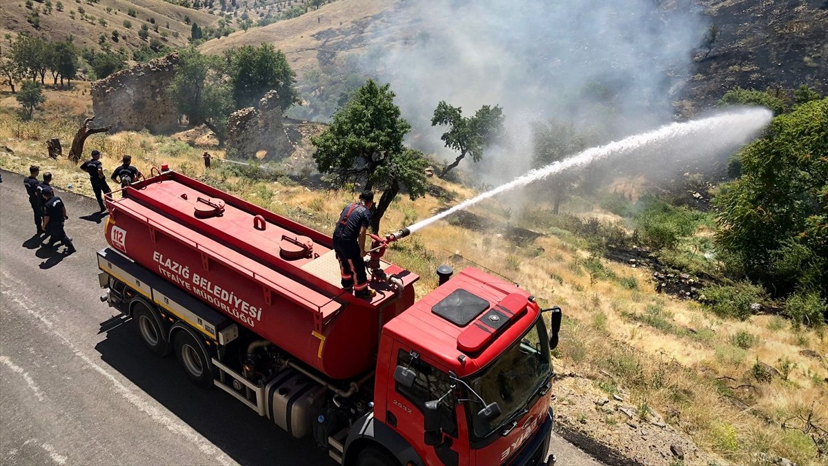 Elazığ'da ağaçlık alanda çıkan yangın söndürüldü
