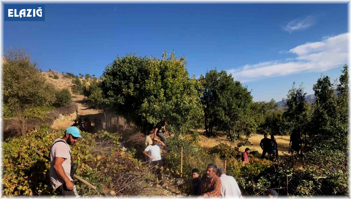 Elazığ'da ağaçlık alanda yangın: Vatandaşlar seferber oldu