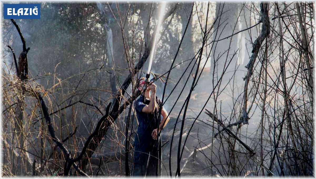Elazığ'da ağaçlık alandaki yangın söndürüldü